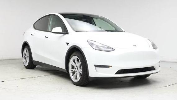 TESLA MODEL Y 2020 5YJYGDEE3LF019609 image